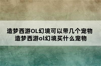 造梦西游OL幻境可以带几个宠物 造梦西游ol幻境买什么宠物